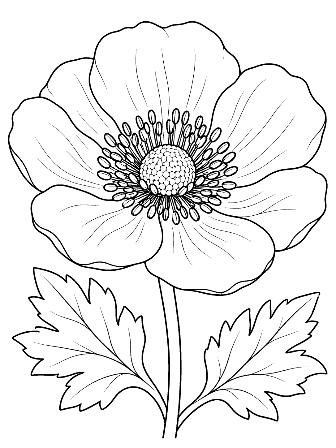 Anemone flower coloring page with one large bloom and two leaves.