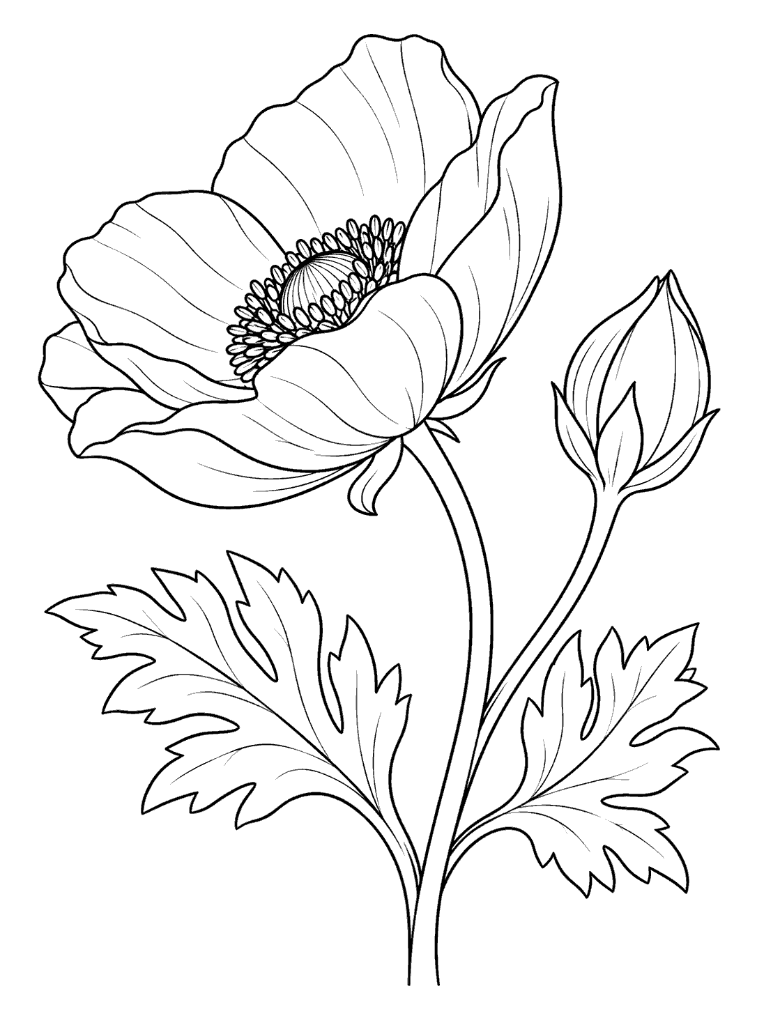 Anemone coloring page with a large side-view bloom, a closed pointed bud, and leaves.