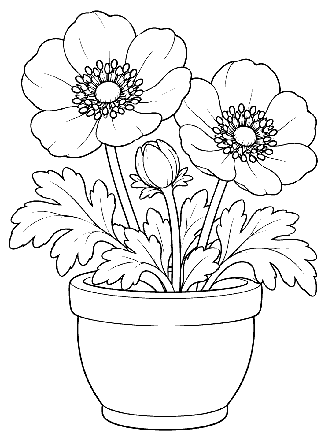 Portrait coloring page showing two large open anemone flowers, one closed bud, broad leaves, and a wide unpatterned pot.