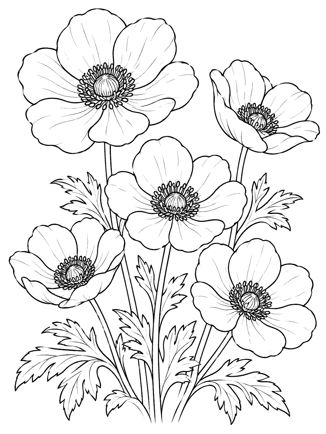 Portrait black line art coloring page with five anemone blooms at varied heights among leaves, each with a detailed central disk.