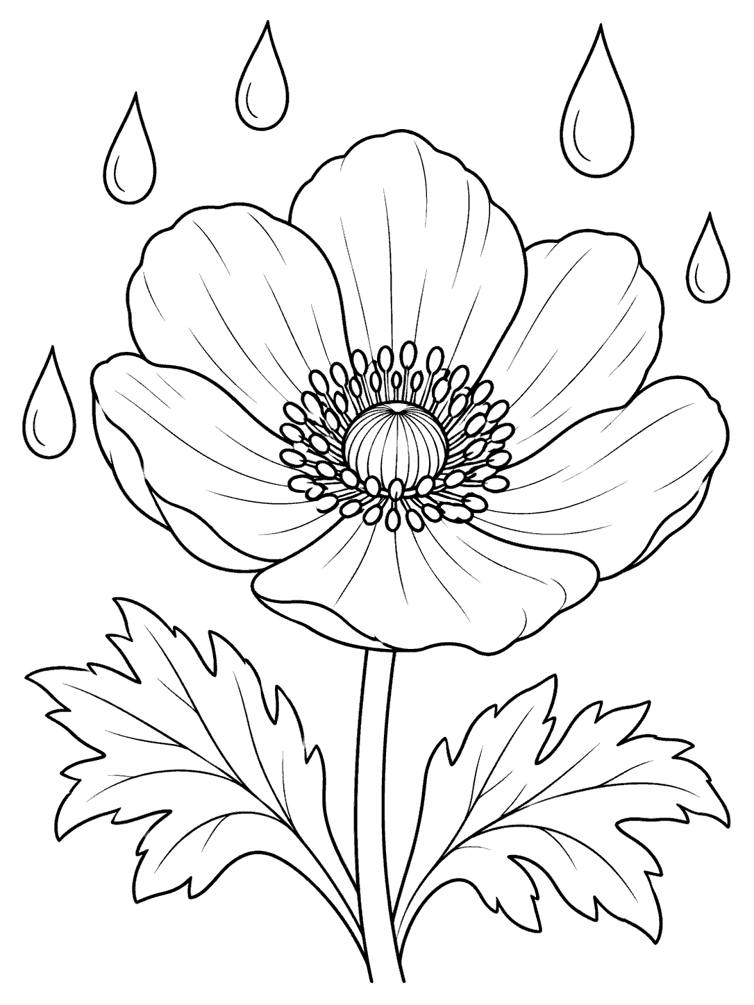 Portrait black-outline coloring page showing a large open anemone on a sturdy stem with two leafy fronds and five separated raindrops.