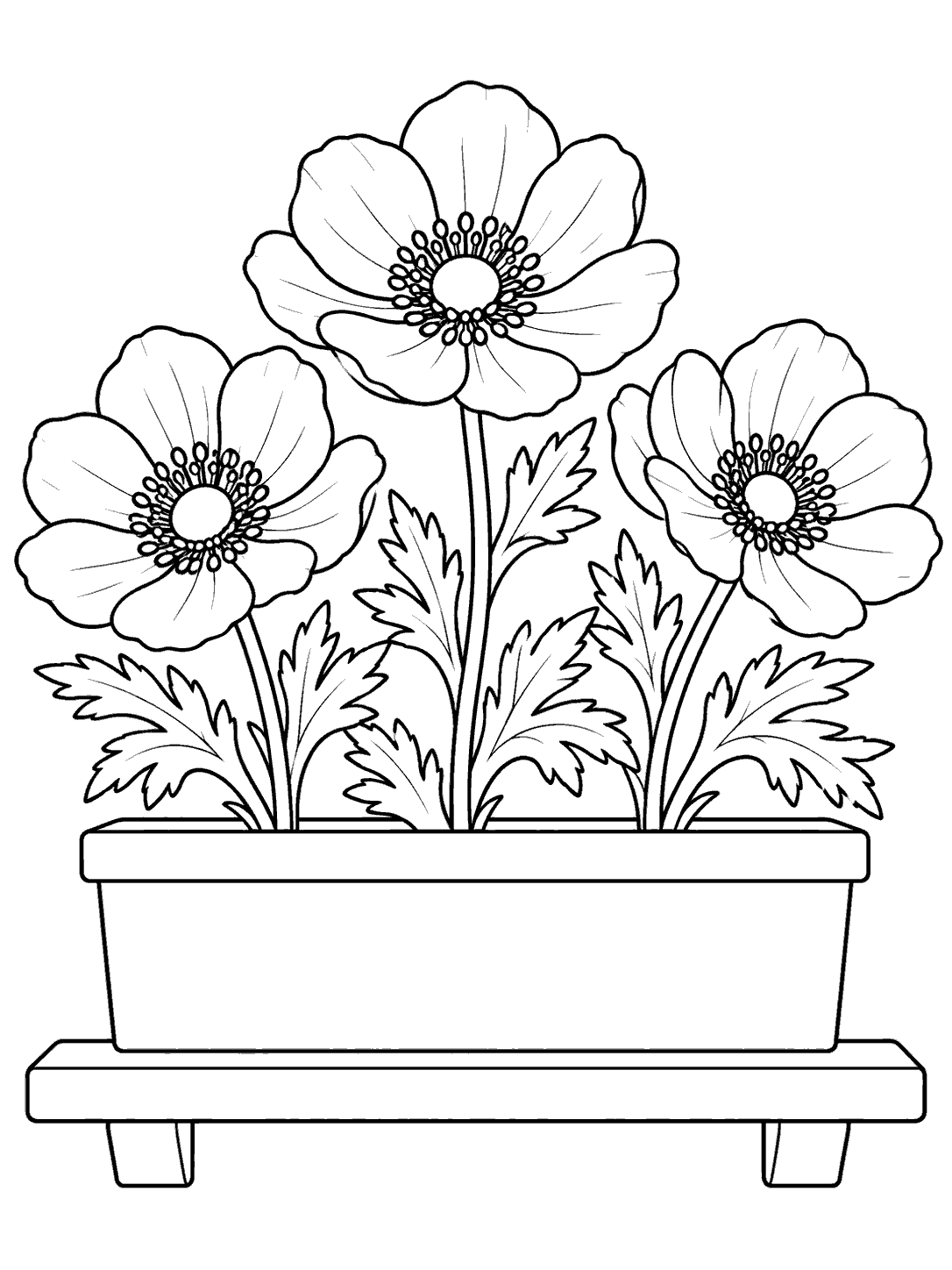 Coloring page showing three outlined anemone flowers with leafy stems in a rectangular window box above a short sill.