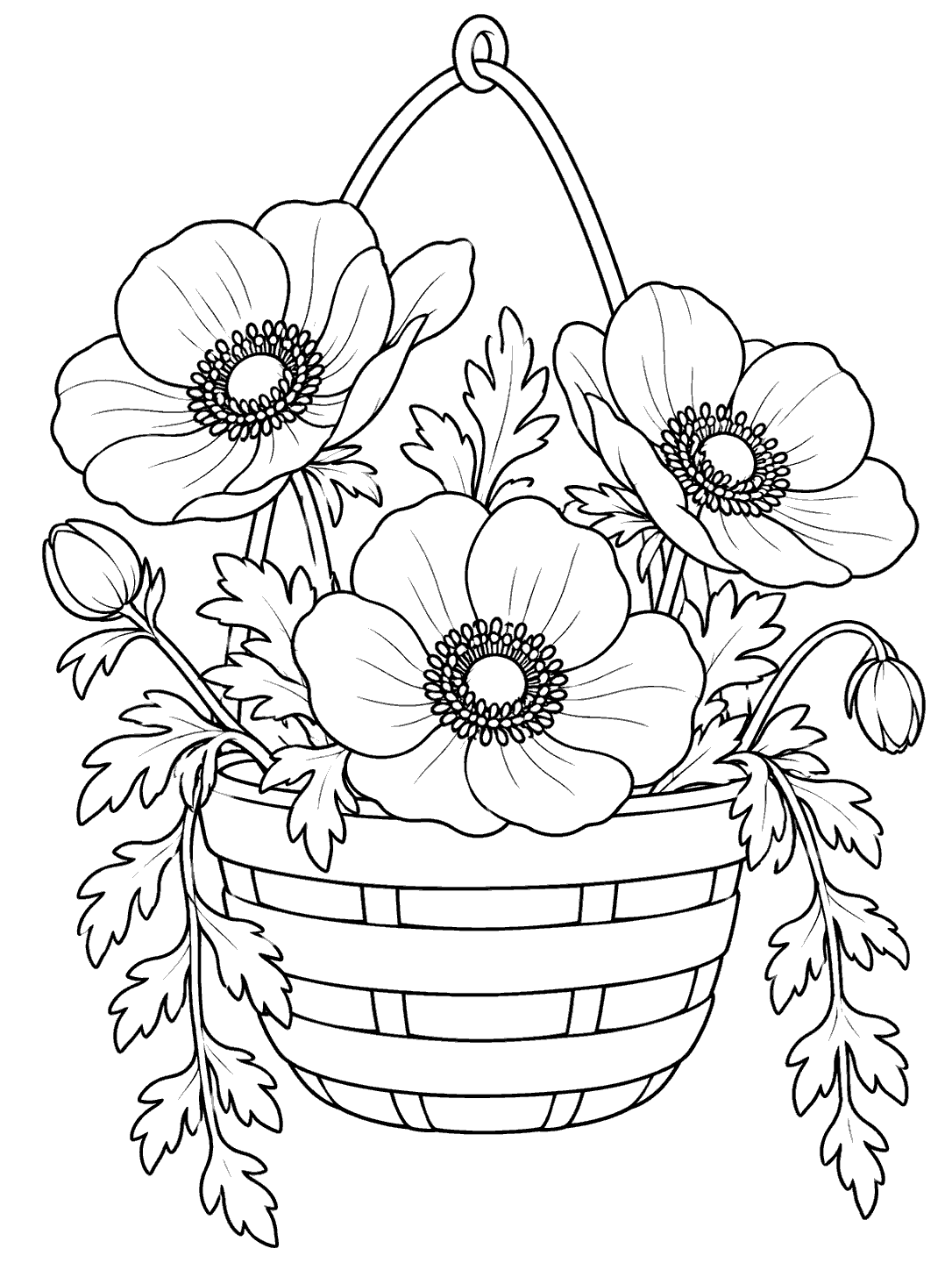 Portrait coloring page of three anemone blooms in a hanging basket with trailing leafy stems