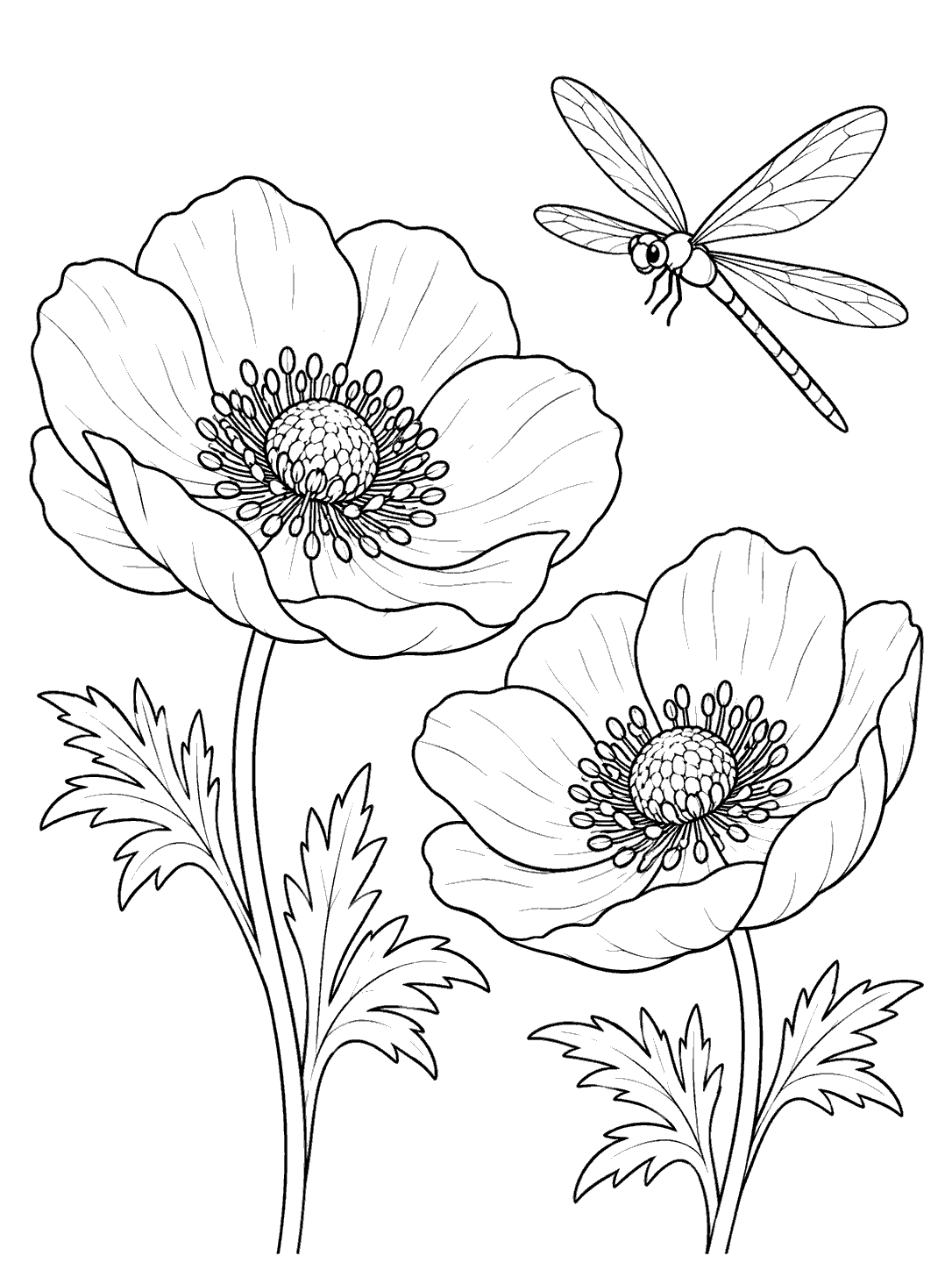 Anemone coloring page with a dragonfly above two flowers