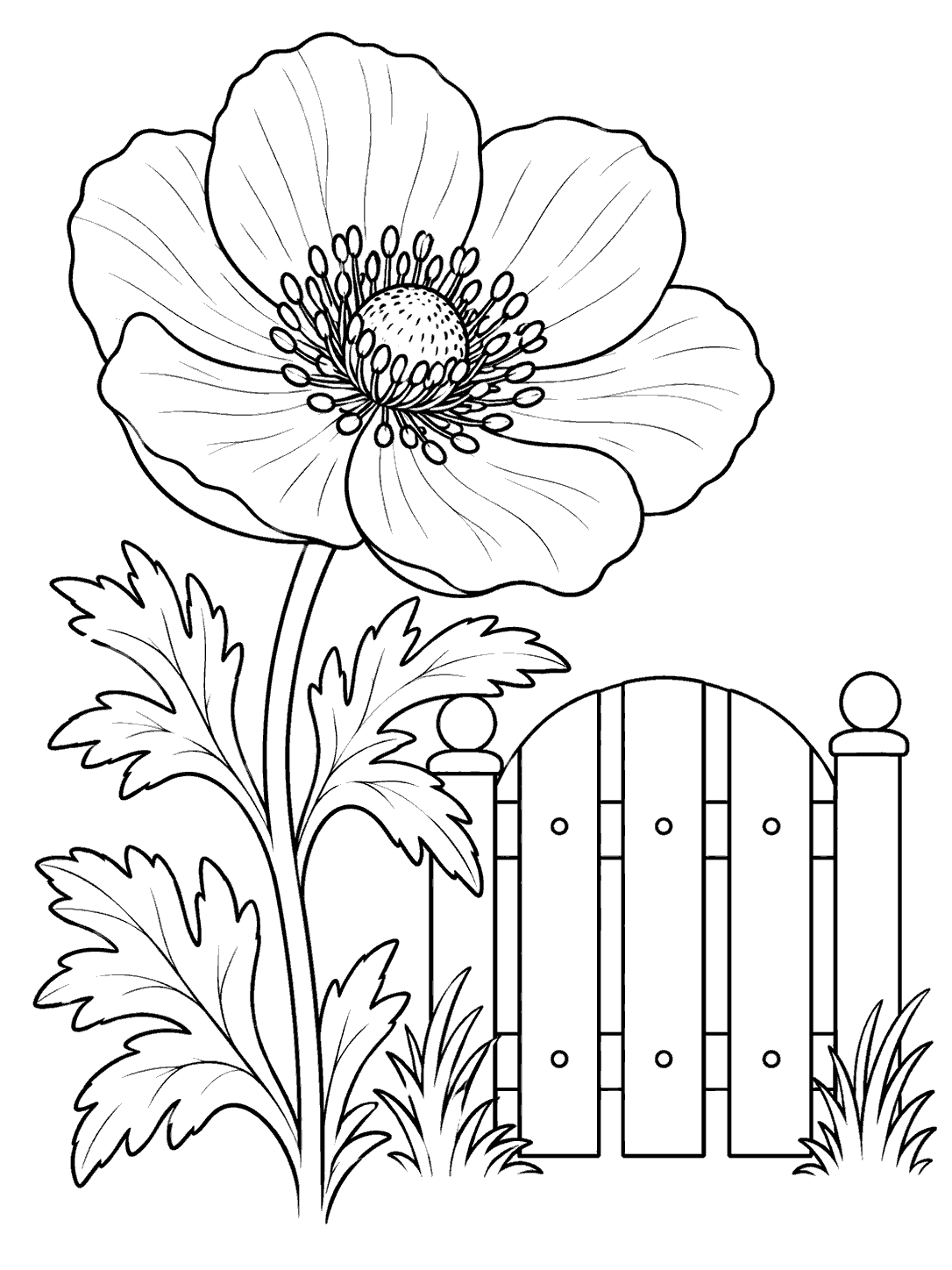 Black-outline anemone with a large open flower beside a rounded garden gate with three slats, on a white coloring page.