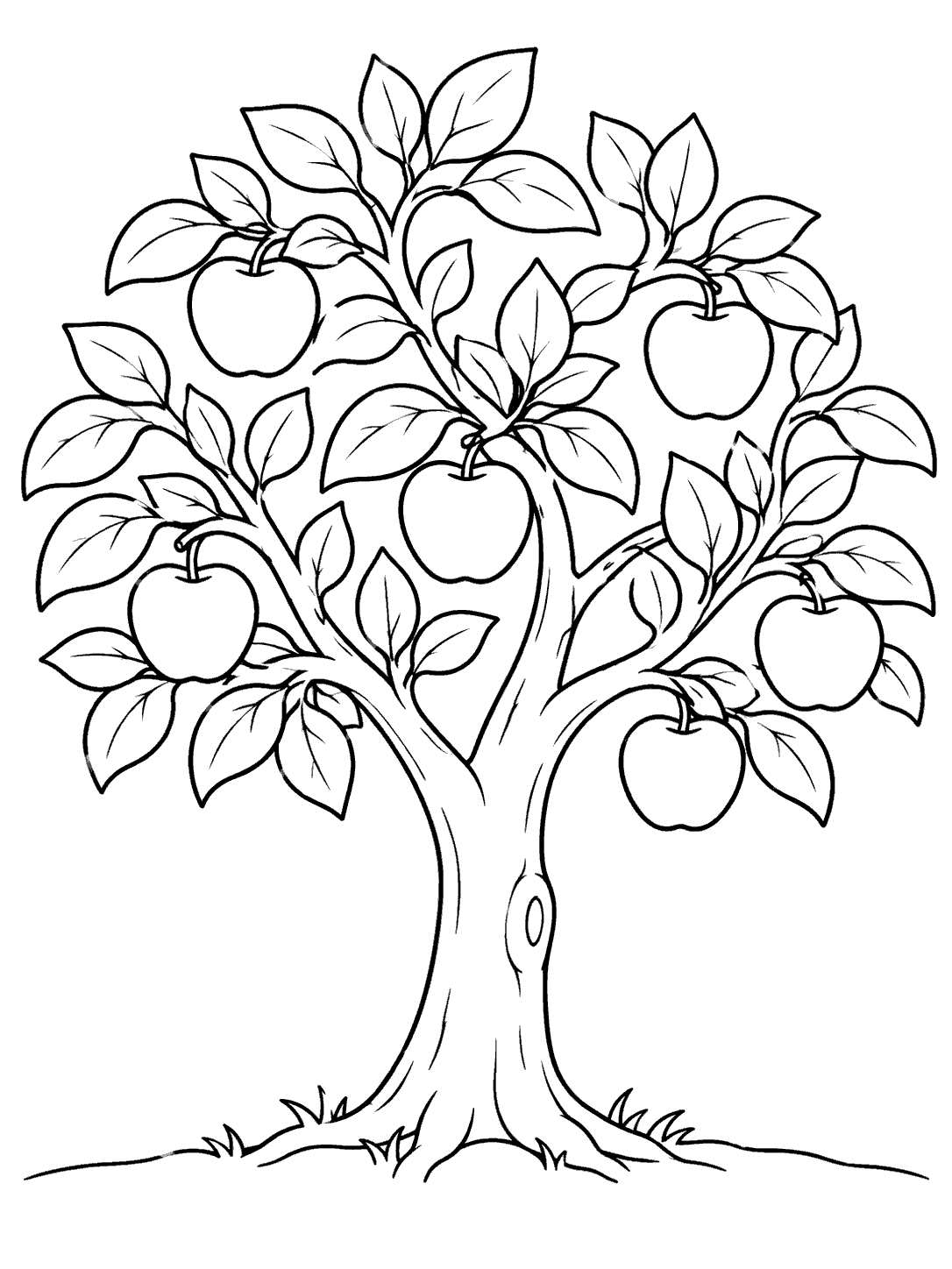 A full view of a branching apple tree with broad leaves, six hanging apples, and a simple ground line, drawn in black outlines on white.