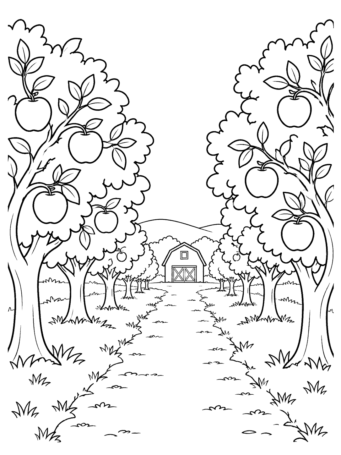Rows of apple trees line a central path toward a small barn.