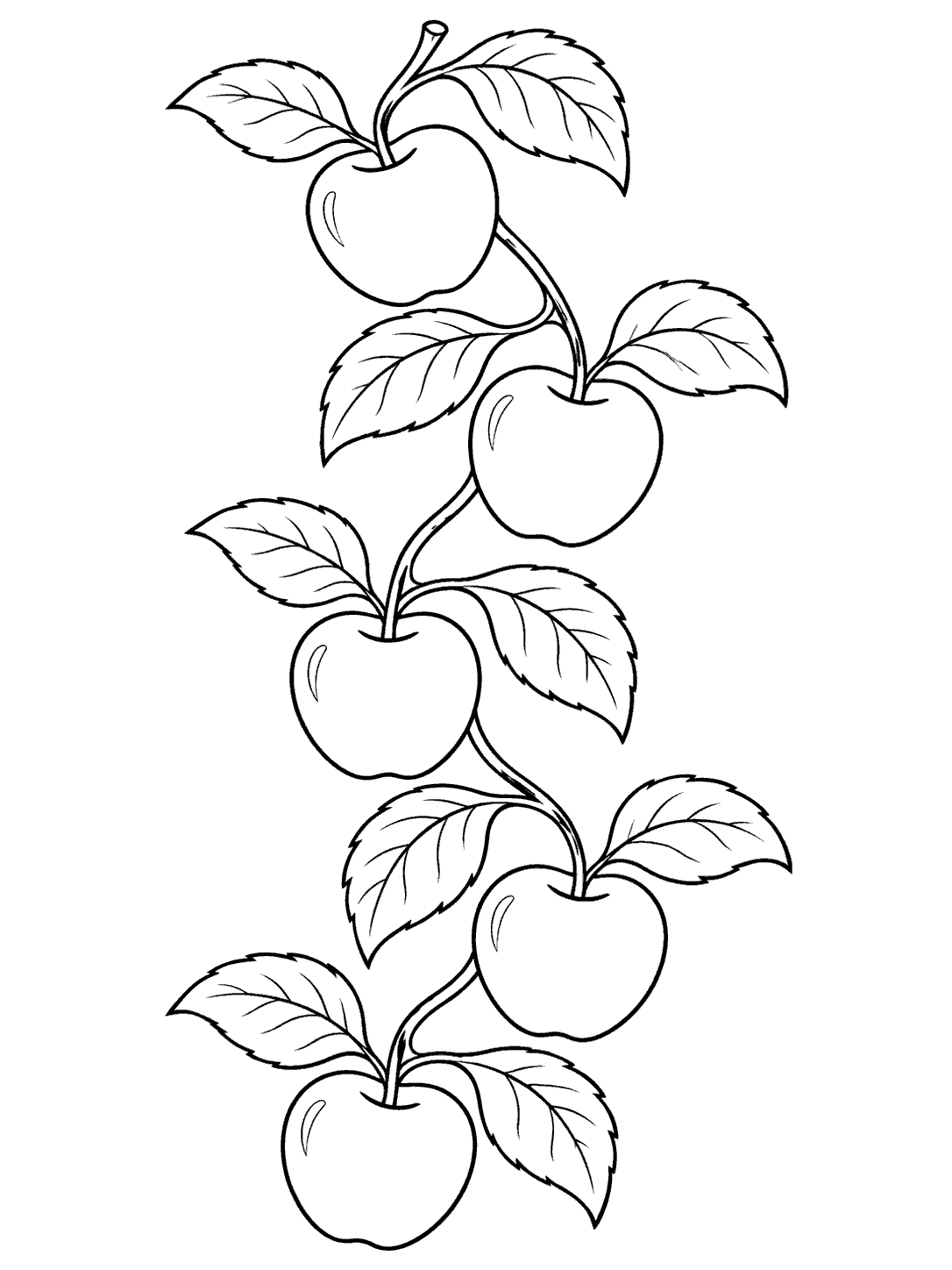 Five outlined apples alternate with broad veined leaves along a gently curving vine.