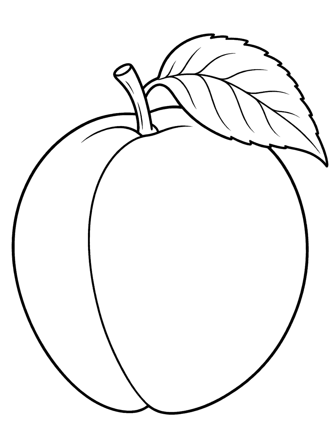 A large apricot with a short stem and broad leaf, drawn in black outlines on white.