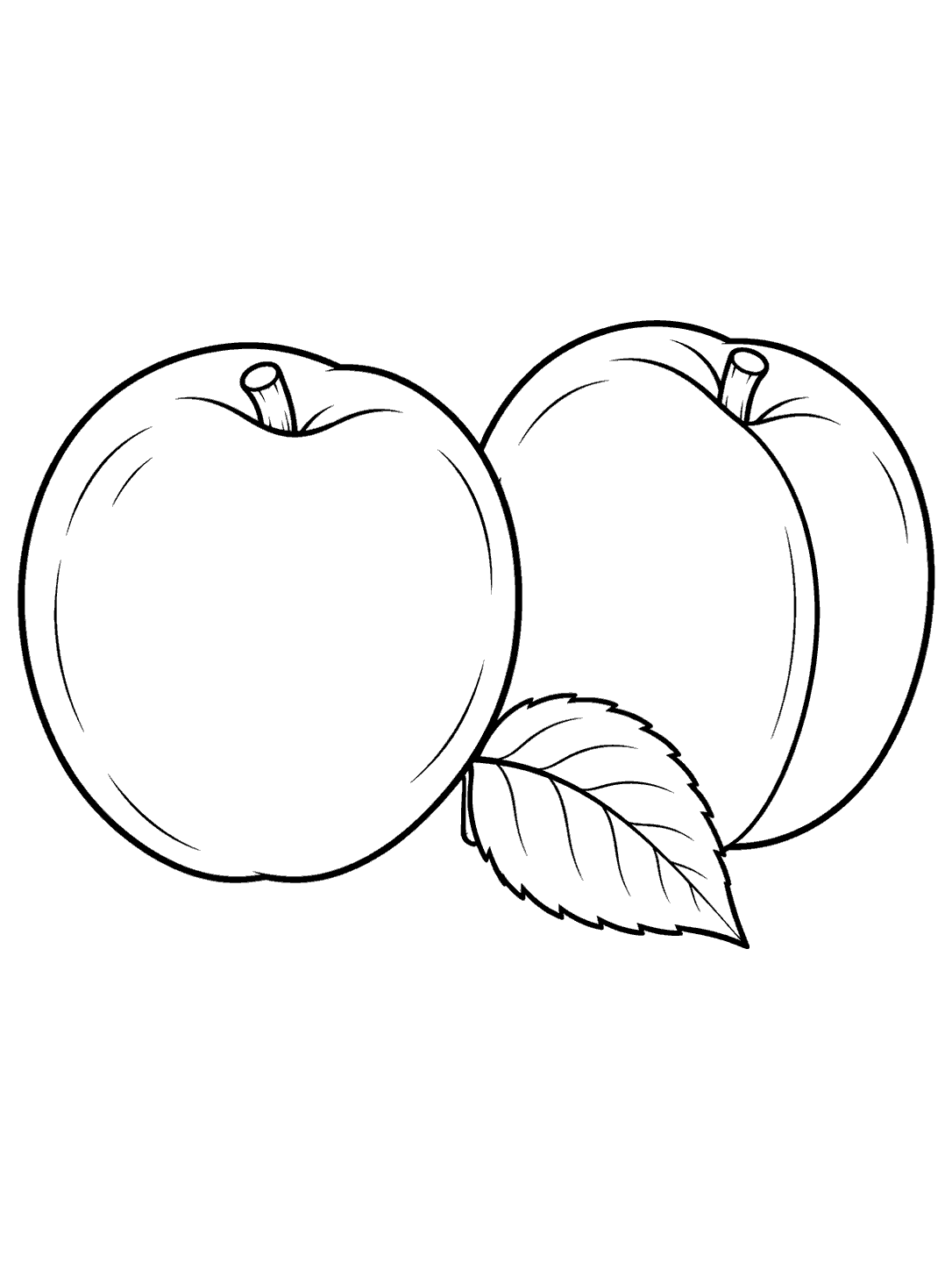 Two outlined apricots, one facing forward and one turned to show its seam, with a leaf between them.