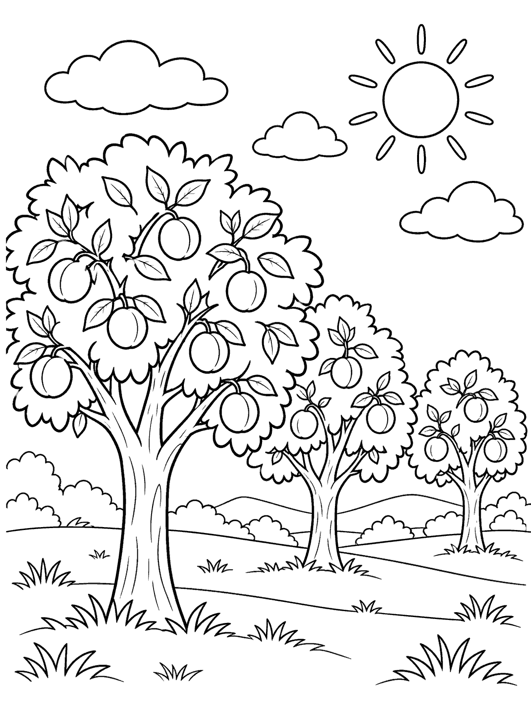 Three apricot trees bearing round fruit, with a sun, clouds, and gentle orchard rows.