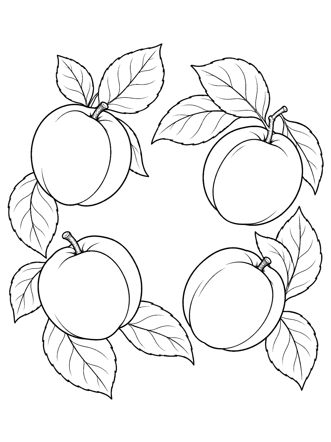 Four whole apricots and broad leaves arranged in an open wreath