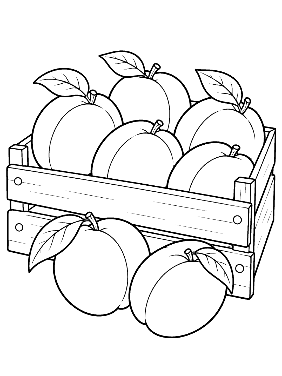 Line-art coloring page of an open-sided crate filled with apricots and two apricots resting in front.