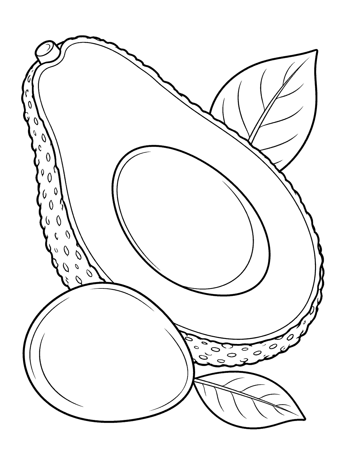 Avocado half, smooth pit, and two leaves outlined on a portrait coloring page