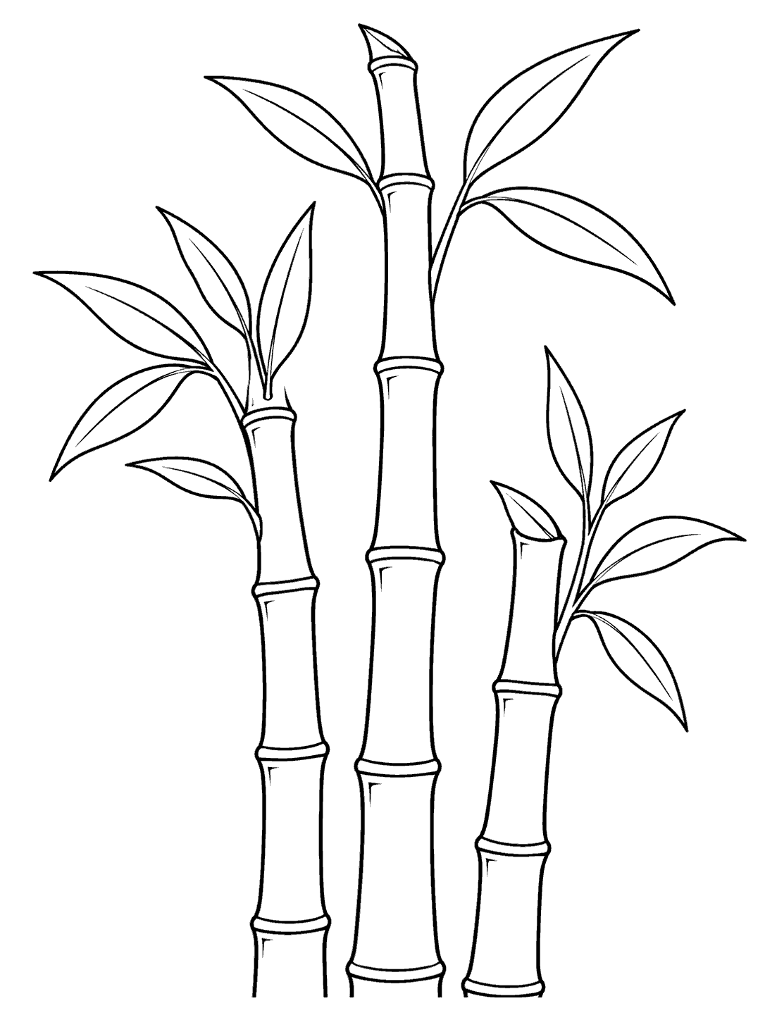 Black outline coloring page of three bamboo stalks at different heights, with segmented joints and branching leaves.