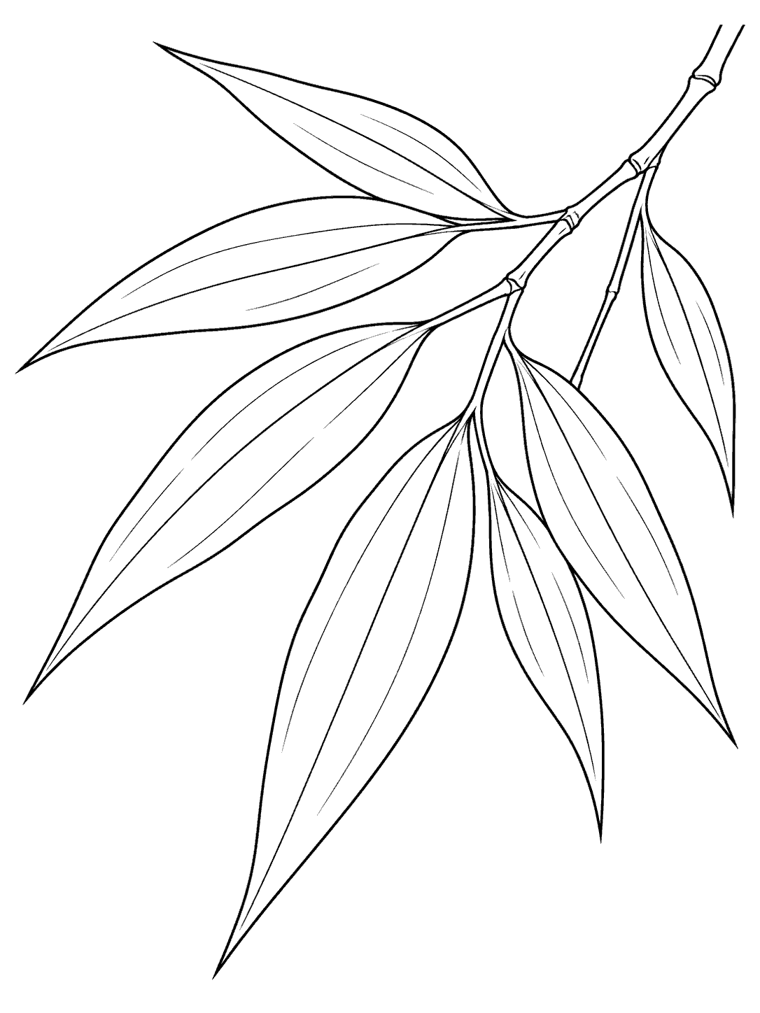 Black outline coloring page of long bamboo leaves fanning from a slender branch, with simple veins on a white background.
