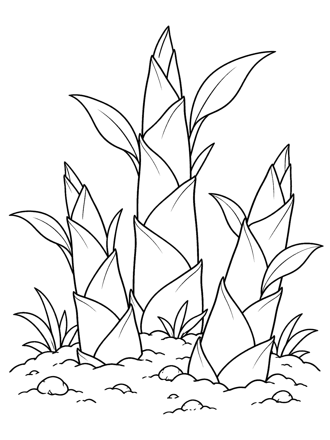 Three layered bamboo shoots with broad leaves rising from a small patch of soil, drawn in black outlines on white.