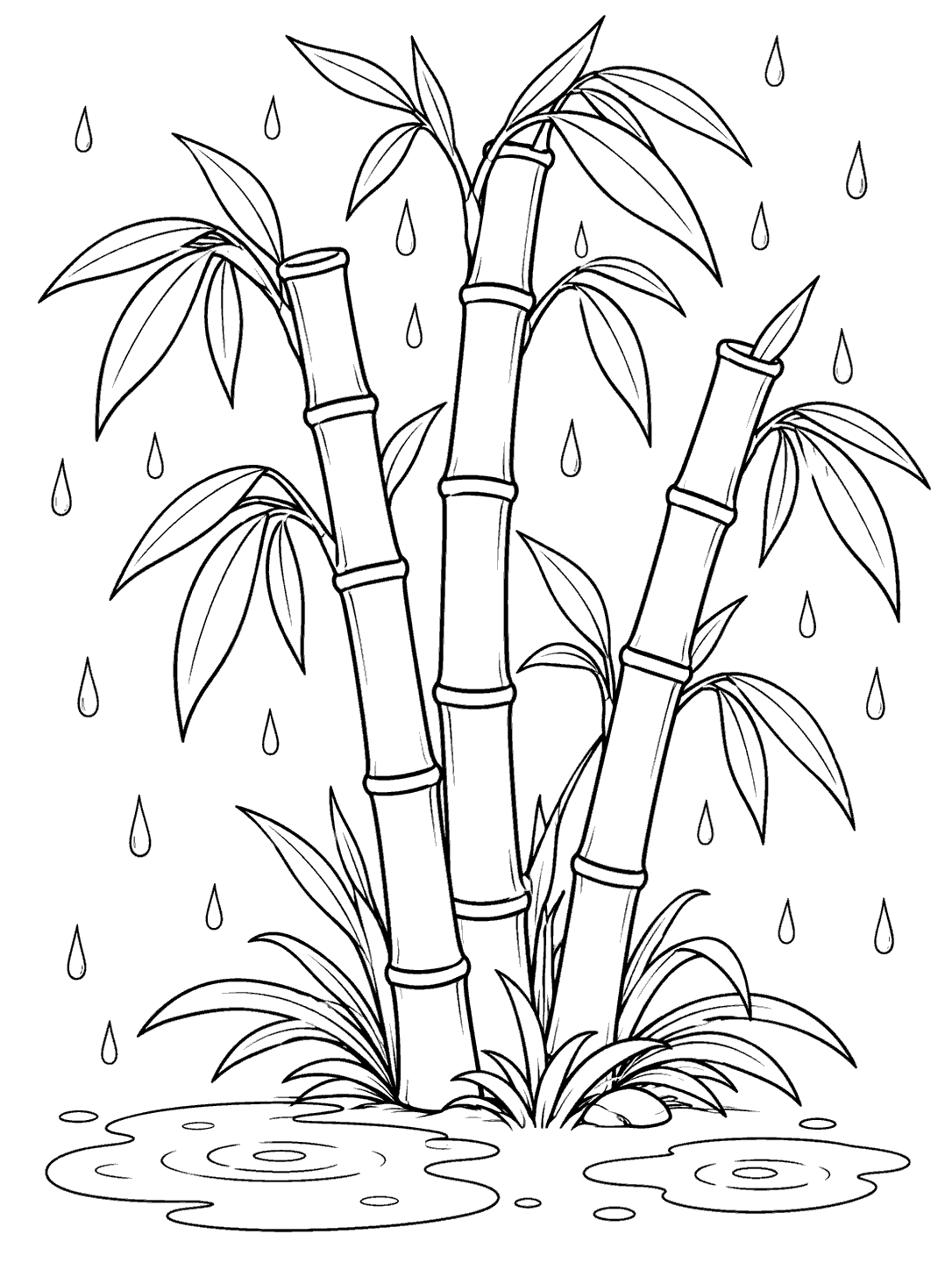 Black ink bamboo cluster coloring page with outlined raindrops and two puddles