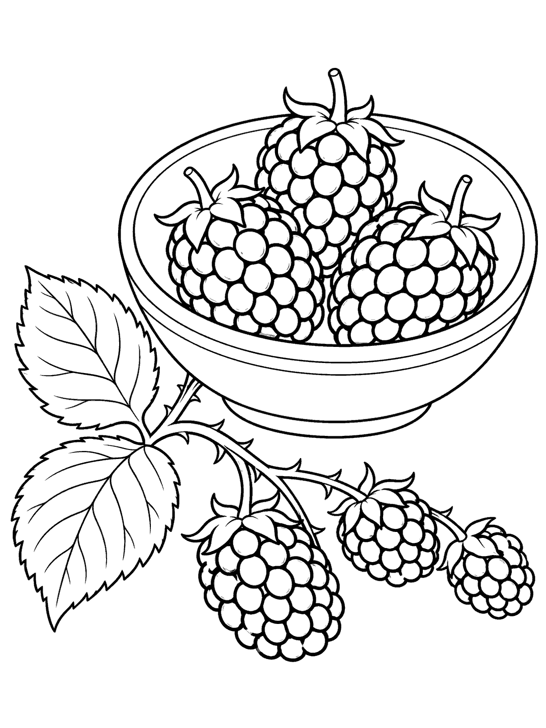 A round bowl filled with three blackberries beside a bramble sprig with serrated leaves, drawn as a coloring page.
