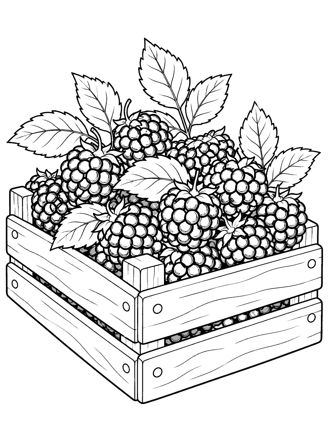 Printable coloring page showing a slatted produce crate filled with outlined blackberries and leaves.