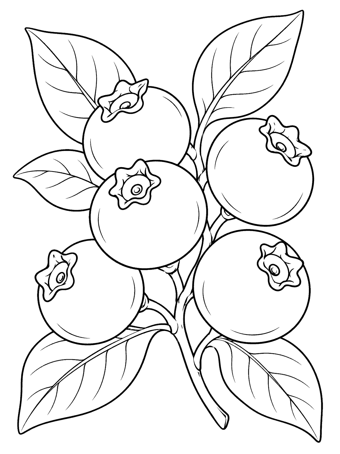 Black-outline coloring page of a leafy sprig with five blueberries