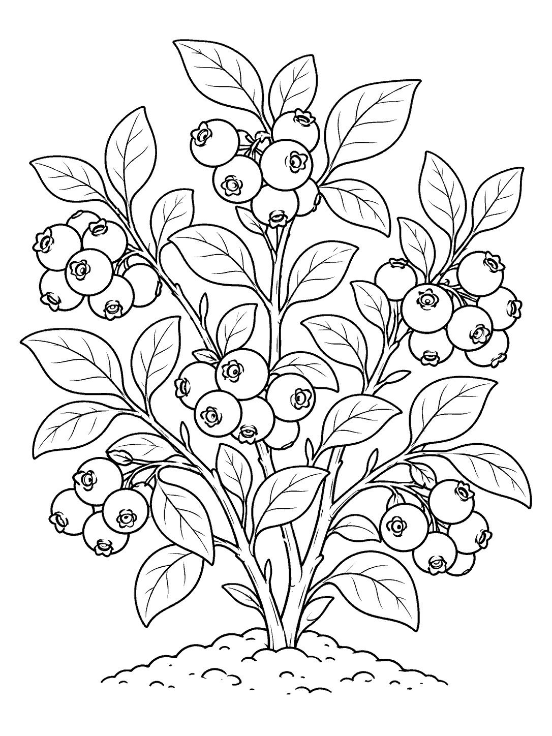 Black-outline coloring page of a leafy blueberry bush with clusters of round berries.