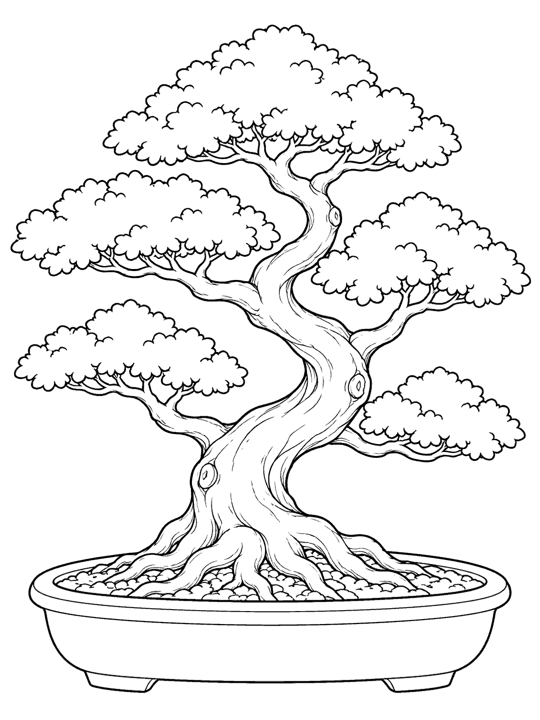 Black-outline coloring page of a gently curved bonsai tree with cloud-like foliage, visible roots, and a shallow oval pot.