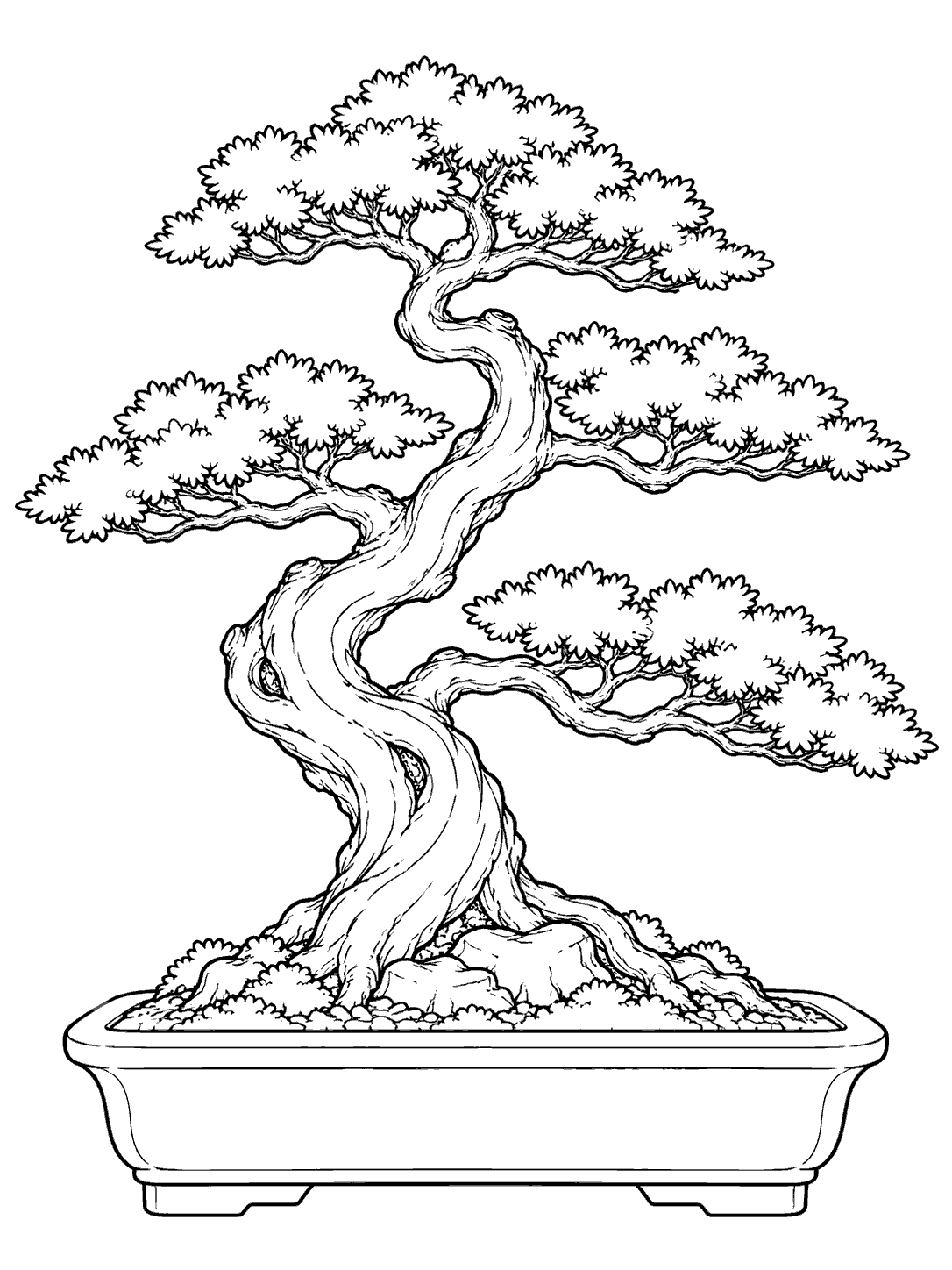 Juniper bonsai with a gnarled trunk and layered foliage sprays in a rectangular pot, drawn as a coloring page.