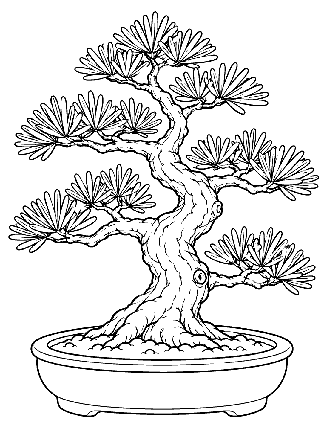 Tiered pine bonsai coloring page