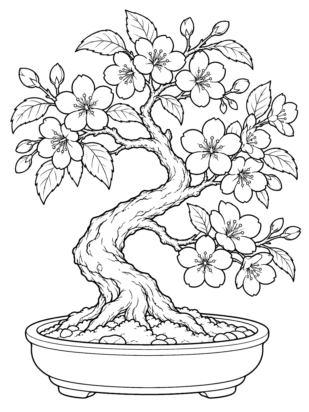 Black-and-white flowering cherry bonsai with an arched trunk, blossoms, leaves, and a shallow round pot coloring page