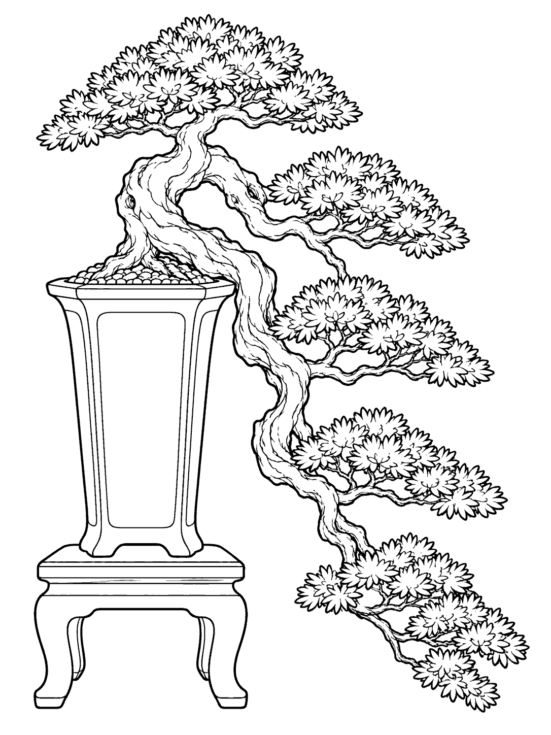 Cascade bonsai with tiered foliage sweeping below a tall pot on a sturdy stand coloring page