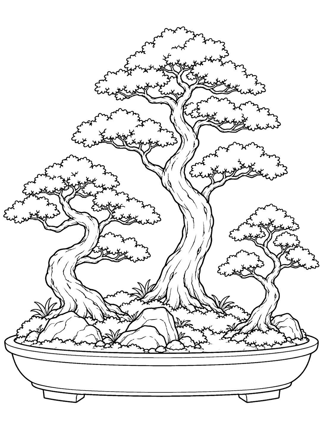 Three bonsai trees of varied heights in a shallow tray, with rocks and low ground plants, in a coloring page.