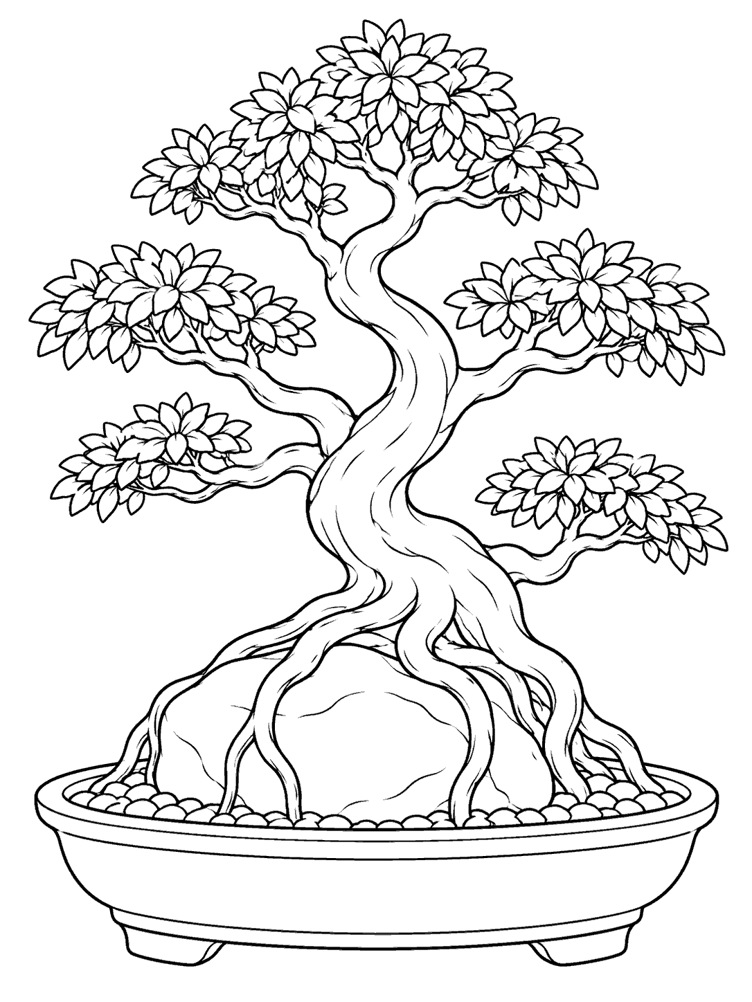 Bonsai with exposed roots over a rock coloring page