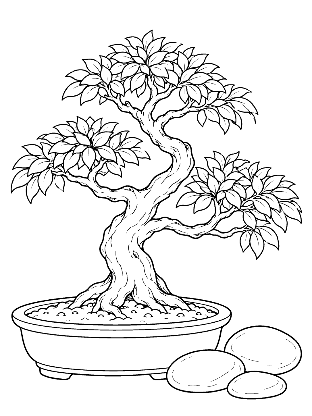 Black-and-white bonsai coloring page with a leafy tree in an oval pot and three smooth stones.