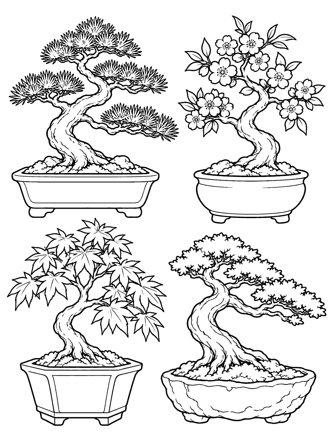 Four distinct bonsai trees in separate pots arranged as a display on a portrait coloring page.