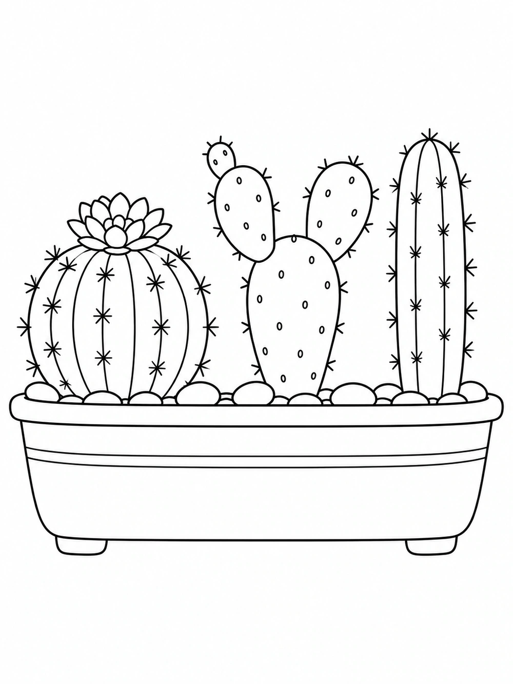 Three varied cacti arranged in a garden planter coloring page