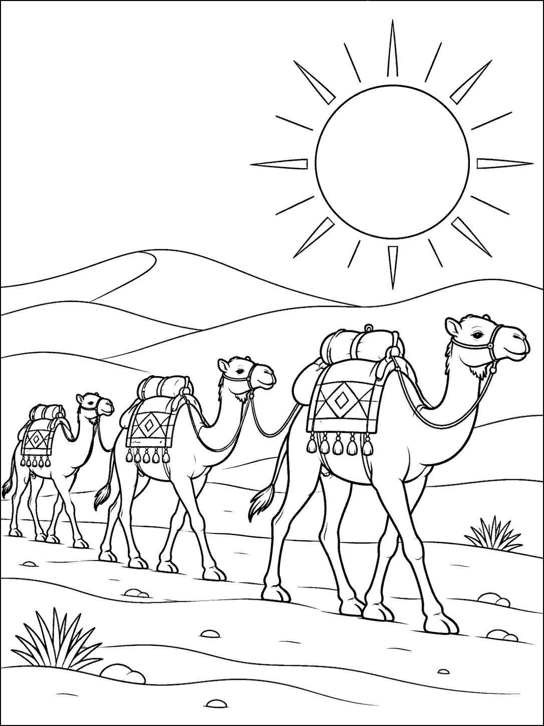 Three camels in a caravan crossing desert dunes beneath a sun, in a black-and-white coloring page.