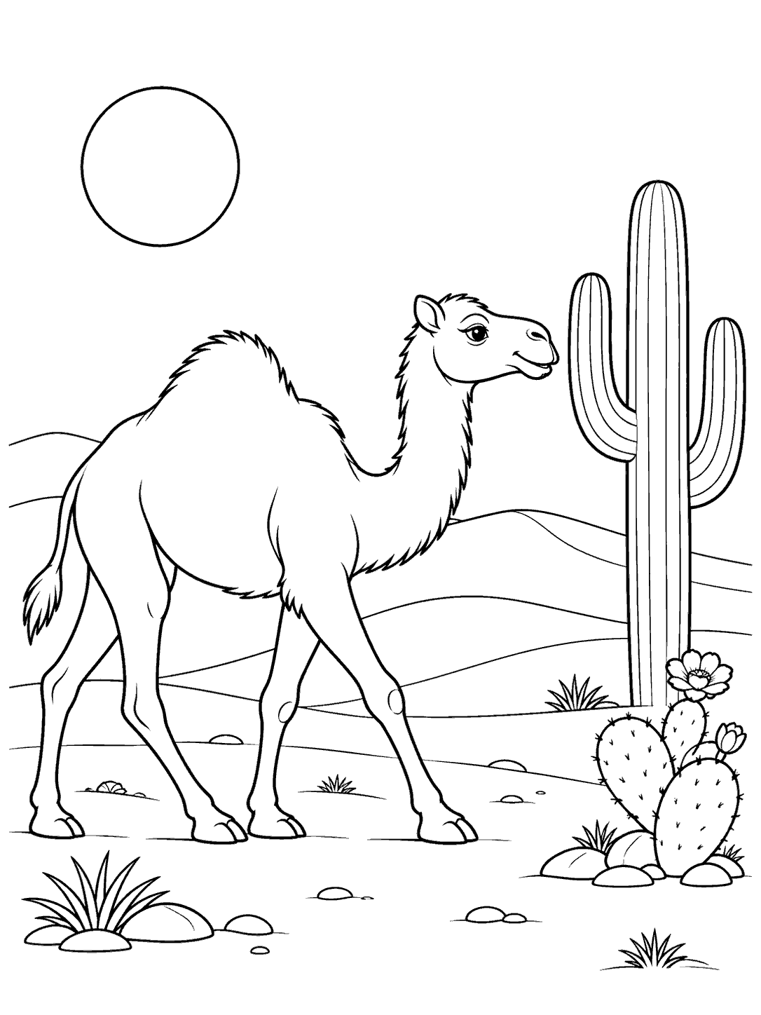 Black-and-white camel coloring page showing a camel beside a tall saguaro and a flowering cactus in the desert.