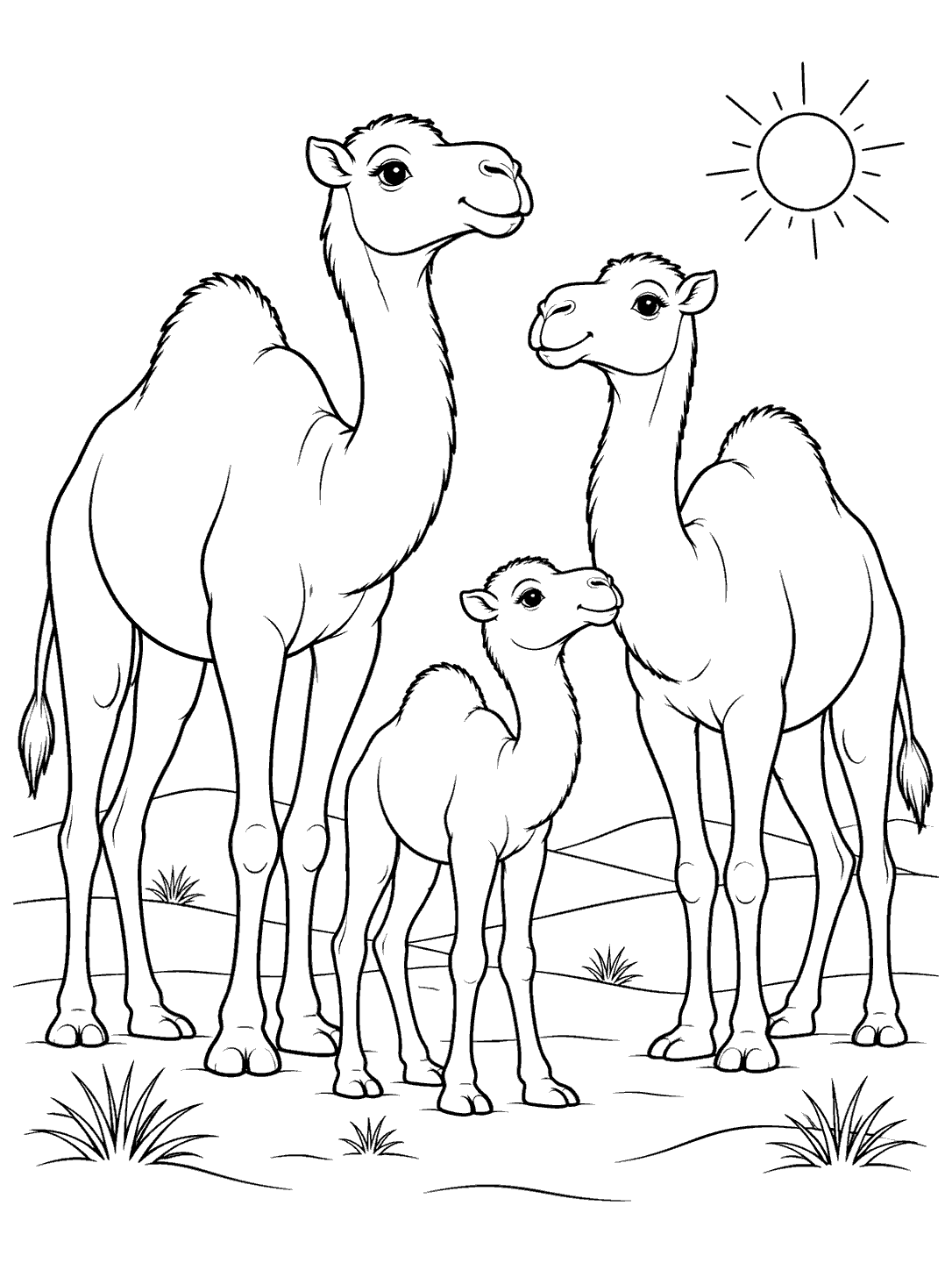 Camel family of two adults and a calf coloring page