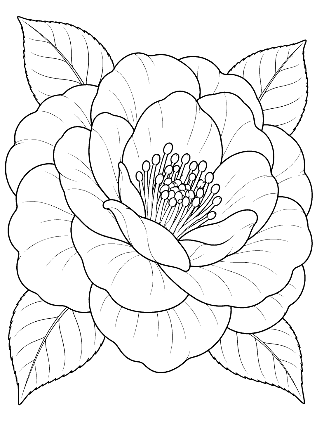 Camellia coloring page with a large layered bloom, central stamens, and surrounding leaves.