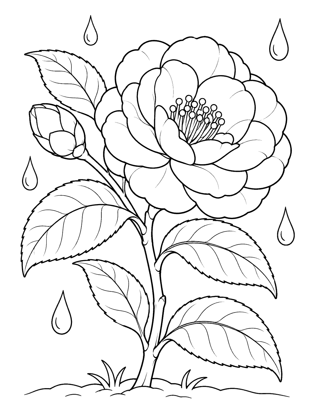 Camellia in a rainy garden coloring page
