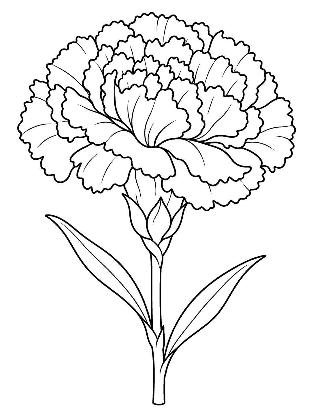 Black-outline coloring page of one full-bloom carnation with two leaves on a straight stem.