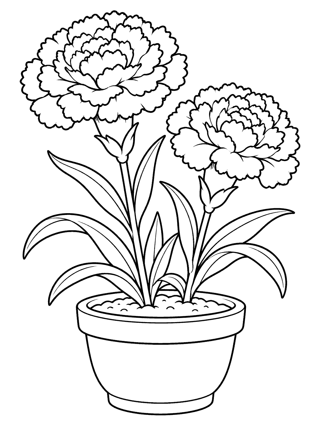 Black and white coloring page of two carnations with broad leaves growing in a rounded flower pot
