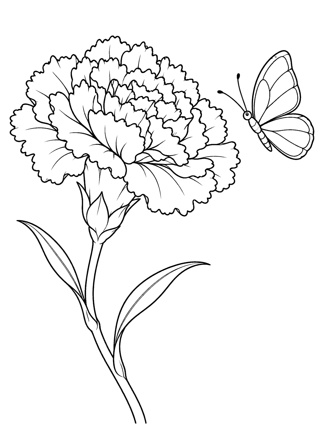 Carnation and butterfly coloring page