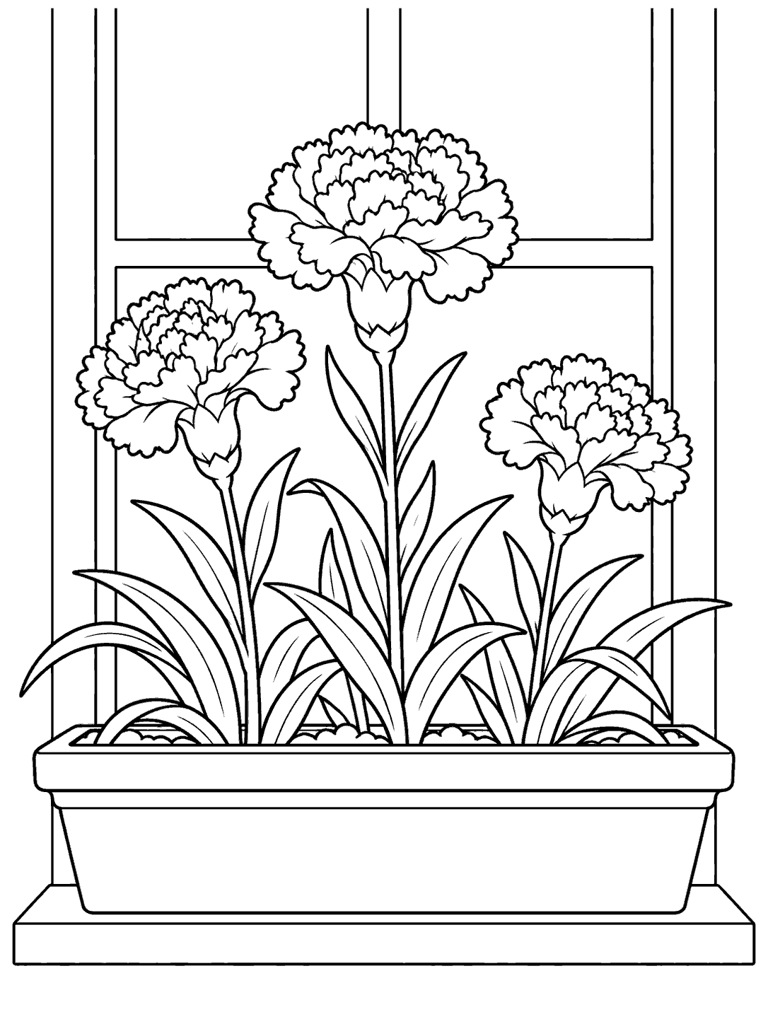 Black ink coloring page of three carnations with broad leaves in a rectangular window box beneath a simple window frame.