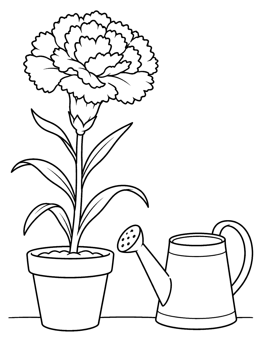 A tall ruffled carnation with several leaves in a small pot beside a watering can, both on a short ground line.