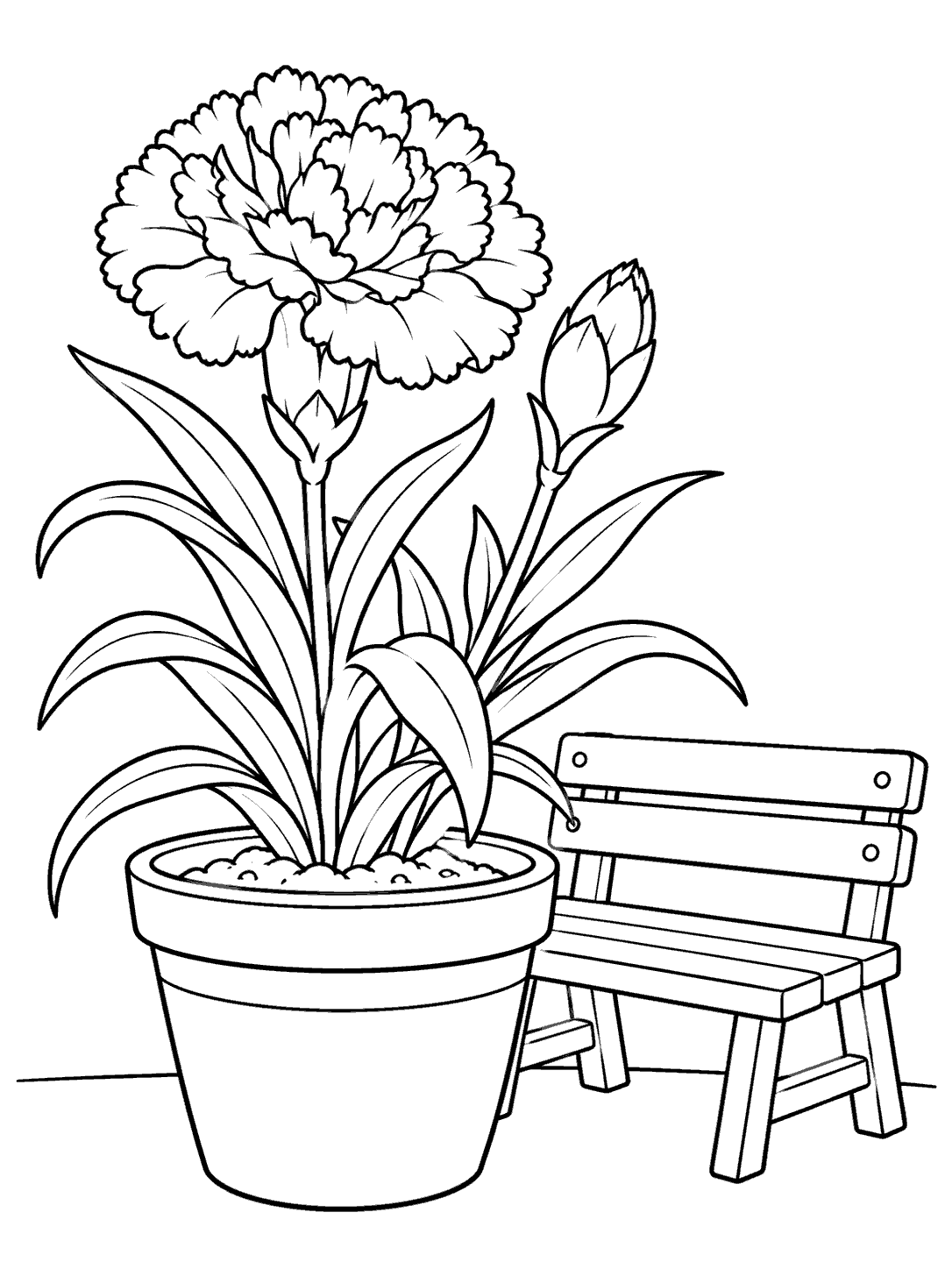 Line-art coloring page of a large potted carnation beside a garden bench, with a single bloom, bud, and broad leaves.