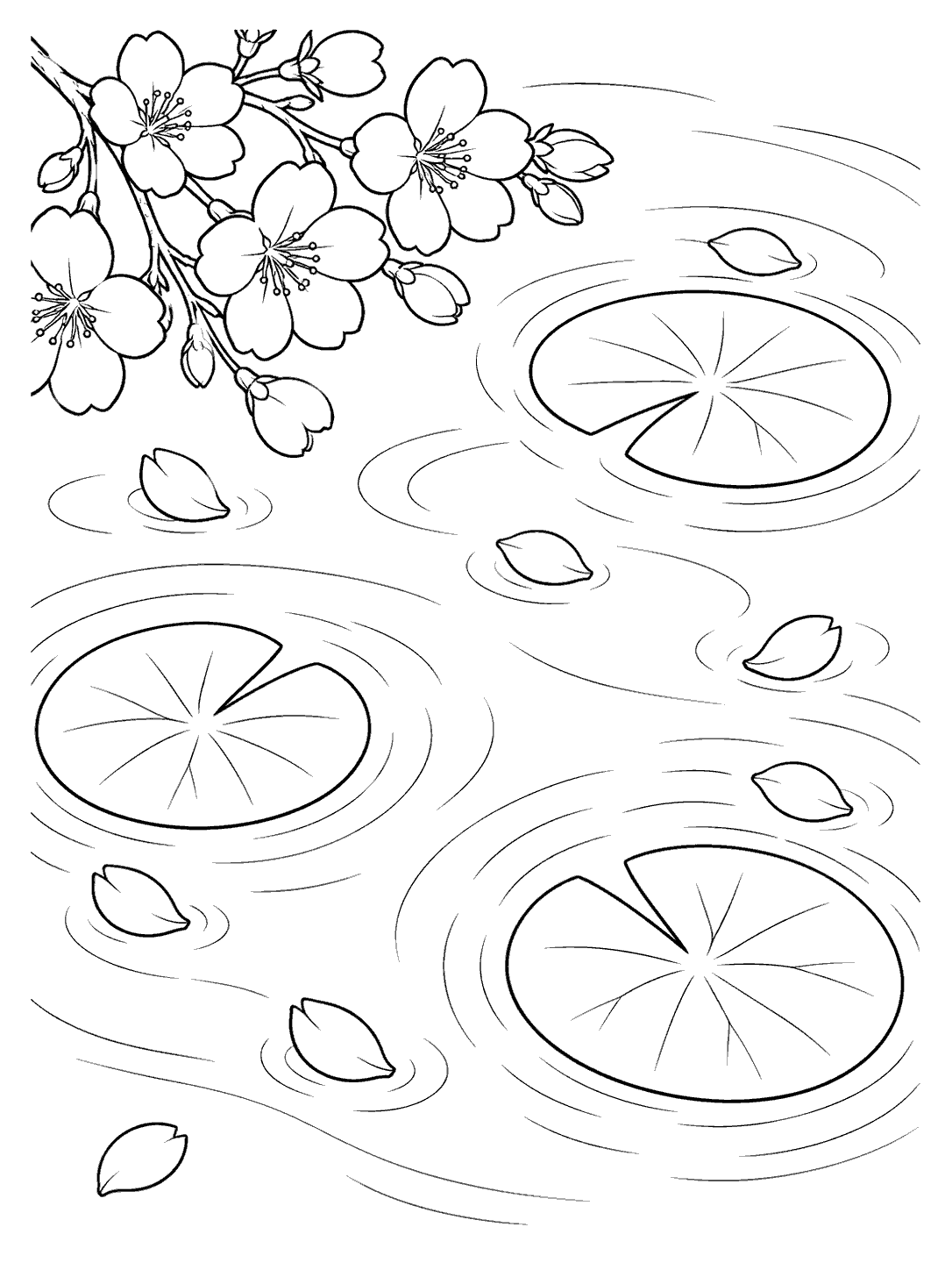 Black ink coloring page of a cherry blossom branch, floating petals, and three lily pads on a rippled pond.