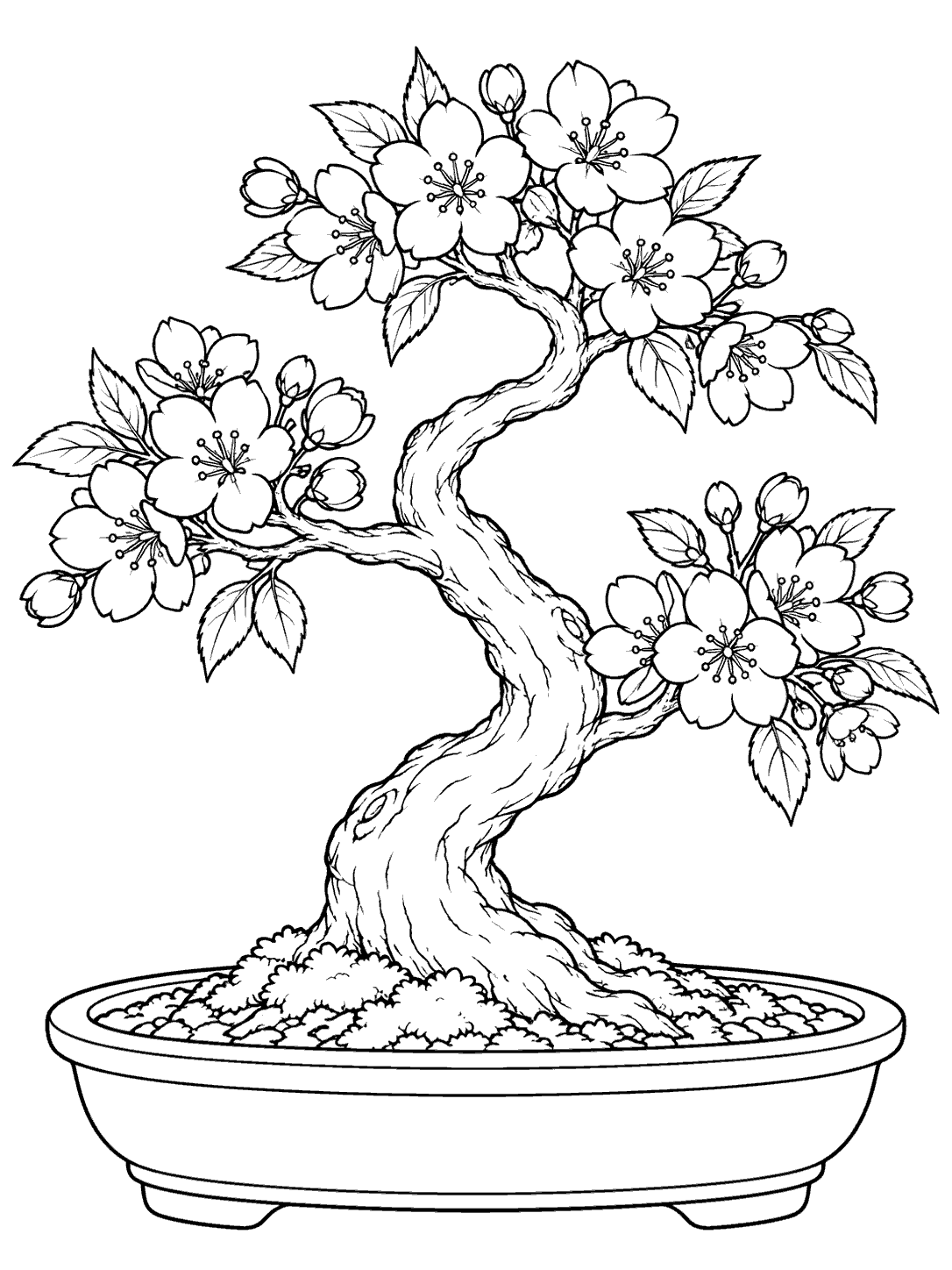 Curving cherry bonsai with blossom clusters and leaves in a shallow oval pot