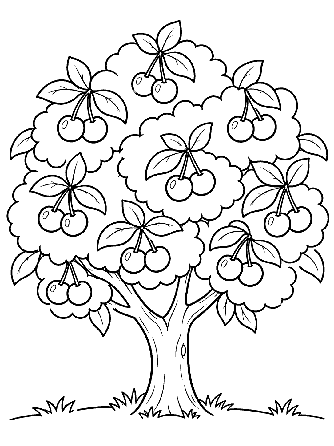 Broad-crowned cherry tree with clusters of cherries, a short trunk, and grass tufts